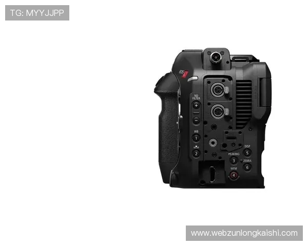 尊龙z6.com旗舰厅登录线路常见问题与解决方案详解帮助新手玩家轻松应对登录难题