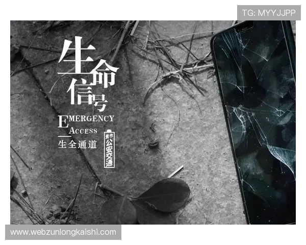 尊龙人生就是博 备用：利用游戏思维规划人生未来的实用指南